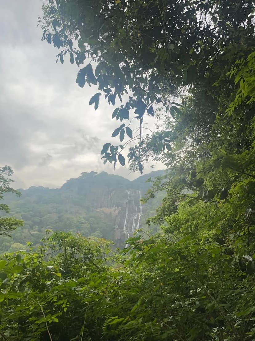 Udzungwa safari photo