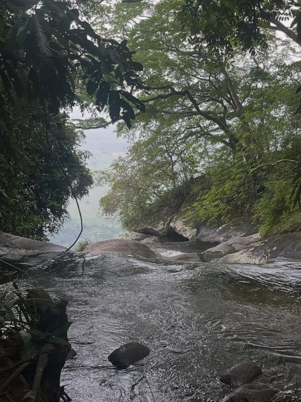 Udzungwa Mountains National Park