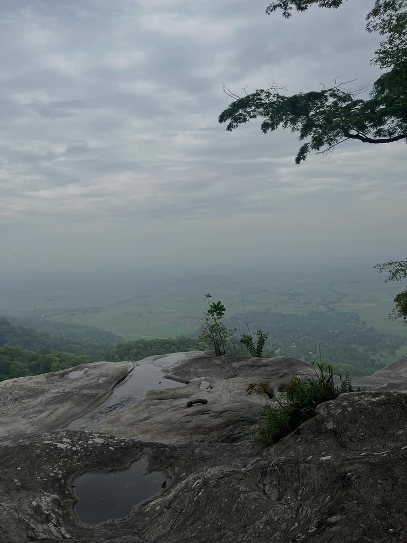 Udzungwa safari photo