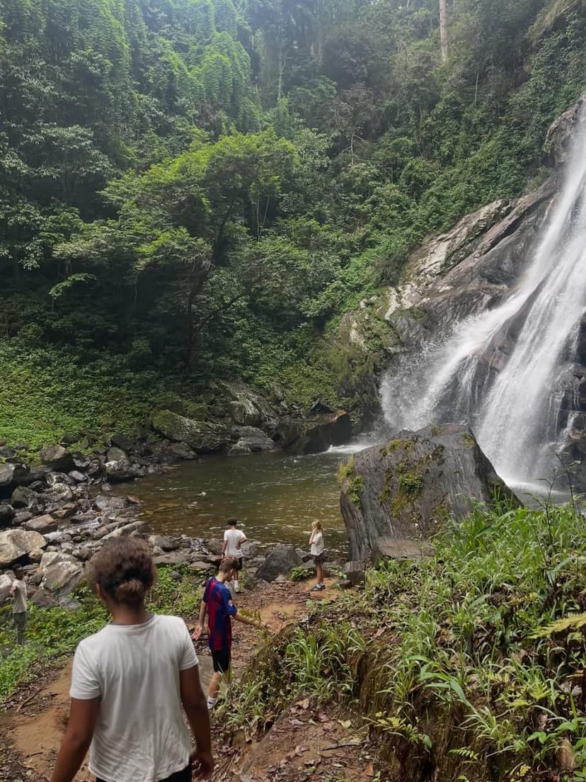Udzungwa safari photo