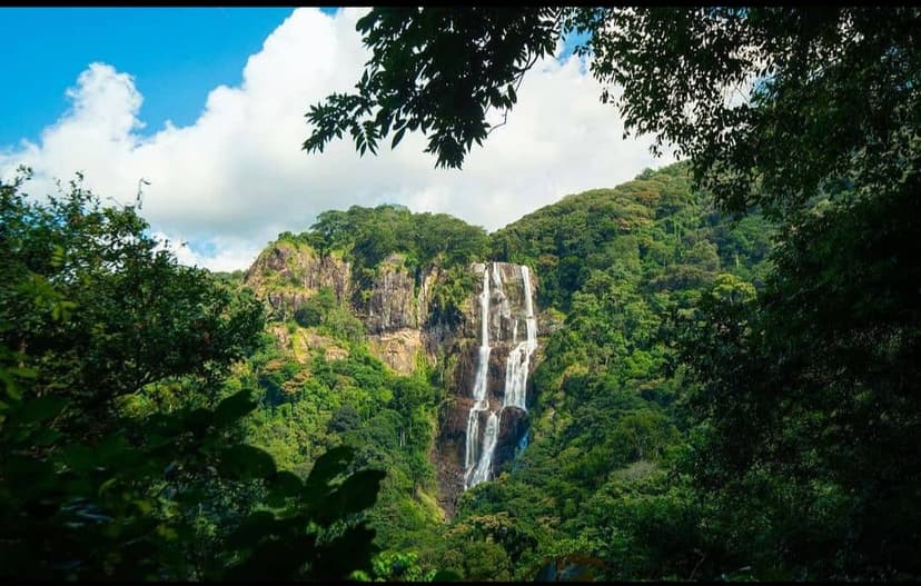 Udzungwa safari photo