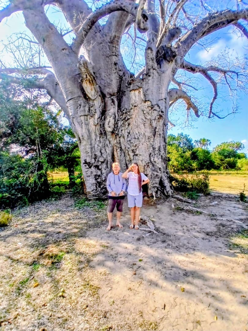 Guests at a baobab tree in Southern Tanzania
