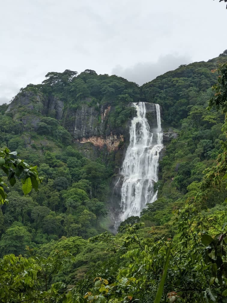 Udzungwa Mountains National Park